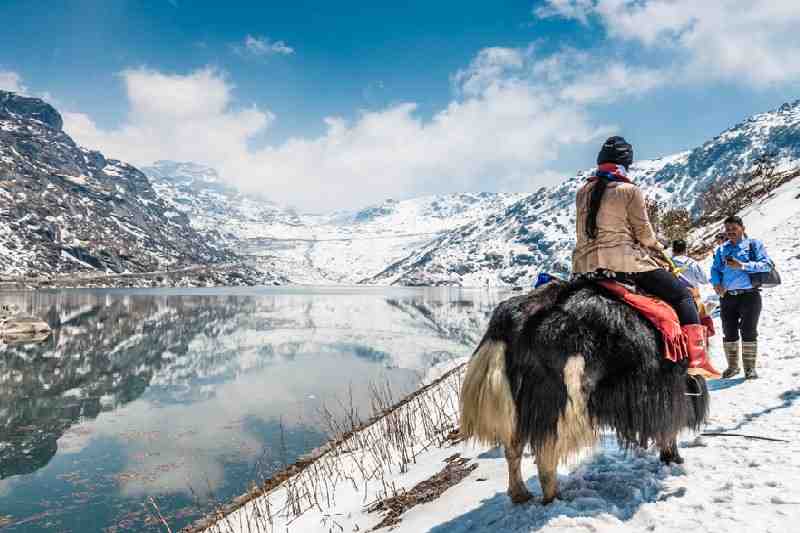 Himalayan Gateway - Premium